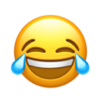 Basic-Emoticon-01_08