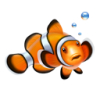 1279624529_fish