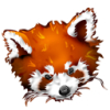 1297523765_Firefox_panda_roux