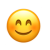 Basic-Emoticon-01_11