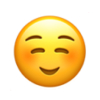 Basic-Emoticon-01_10