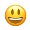 Basic-Emoticon-01_03