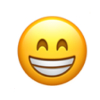 Basic-Emoticon-01_05