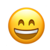 Basic-Emoticon-01_04