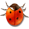 1281266758_tools-report-bug